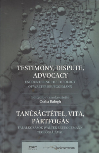 Balogh Csaba (szerk.) - Testimony, dispute, advocacy / Tanúságtétel, vita, pártfogás