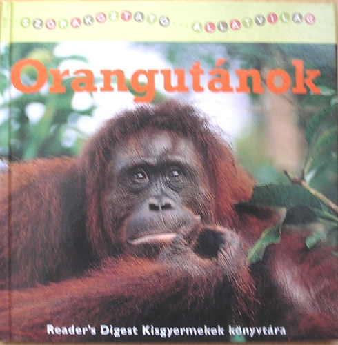 Susan Kueffner - Orangutnok