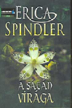 Erica Spindler - A stn virga