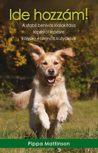 Mattinson, Pippa - Ide hozz�m!