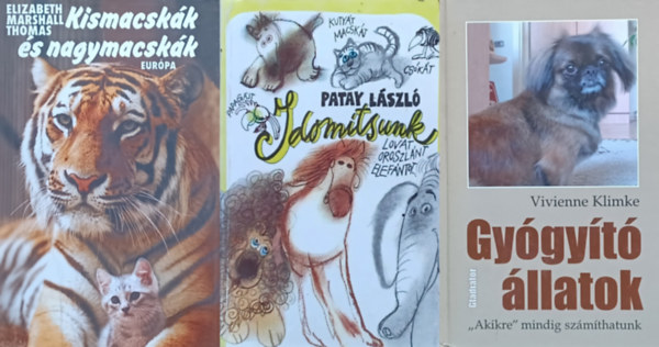 Patay László, Vivienne Klimke, Elizabeth Marshall Thomas - 3 db állatos könyv: Idomítsunk lovat, oroszlánt, elefántot... + Gyógyító állatok. "Akikre" mindig számíthatunk + Kismacskák és nagymacskák - A macskafélék és kultúrájuk