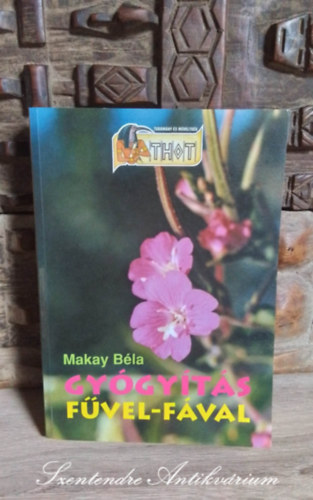 Makay B�la, Di�szegi Istv�n (szerk.), Sz�lesn� Nagy Zsuzsanna (lektor) - Gy�gy�t�s f�vel-f�val - Haszn�lati tan�csok, A gy�gyn�v�nyek hat�anyaga, Betegs�gek gy�gym�dja