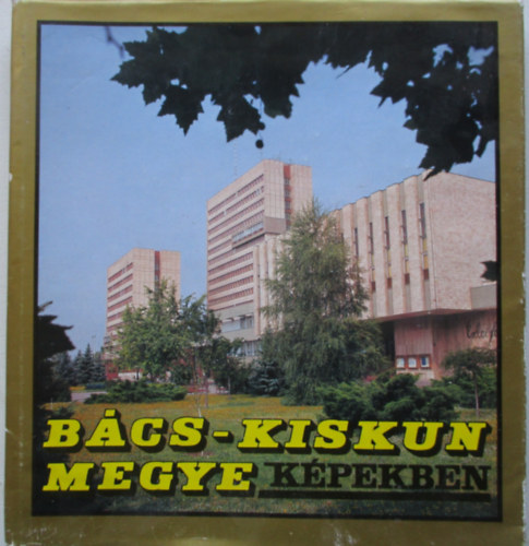 Szab Csaba (szerk.) - Bcs-Kiskun megye kpekben