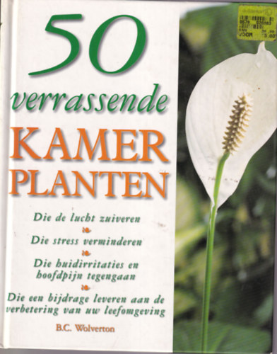 50 verrassende Kamer planten