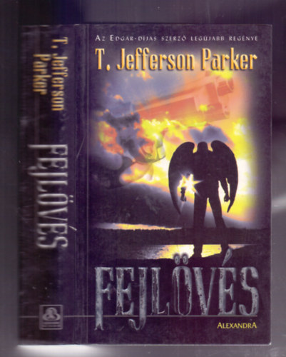 T. Jefferson Parker - Fejlvs - sszetrt emlkek a stt oldalrl