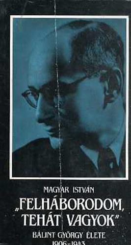 Magyar István - "Felháborodom, tehát vagyok"