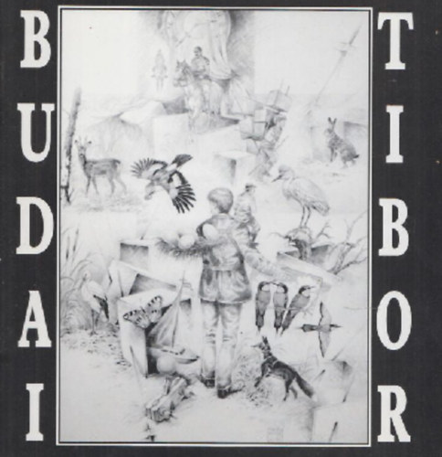 Budai Tibor