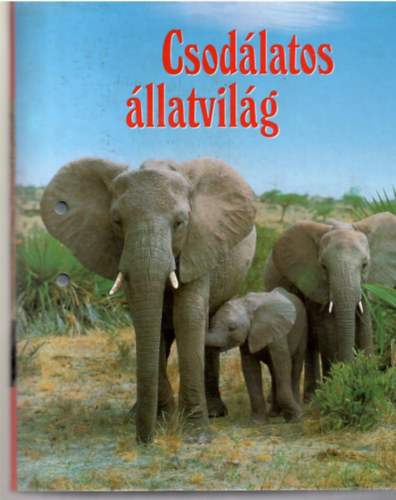 Csodálatos állatvilág (Négyoldalas 202 db lefűzhető lap 11 csoportban, 1 kapcsos dossziéban. Színes fotókkal, ábrákkal illusztrálva.)