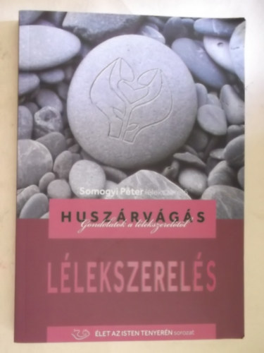 Somogyi Pter - Huszrvgs