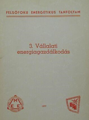 L�ng Miticzky Tam�s, Gy�ri Attila, Laklia Tibor, Varga Endre, �rvay L�szl�, Hargittay Attila, Kormos K�lm�n - V�llalati energiagazd�lkod�s