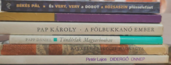 Pint�r Lajos, Barab�s Tibor, Papp D�niel, K�roly Pap, Varga L�szl�, B�k�s P�l - Magyar kort�rs k�nyvcsomag