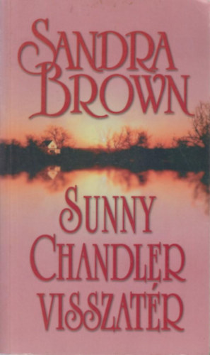 Sandra Brown - Sunny Chandler visszatr