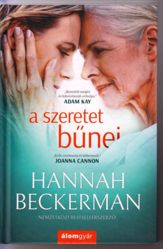 Hannah Beckerman - A szeretet bűnei