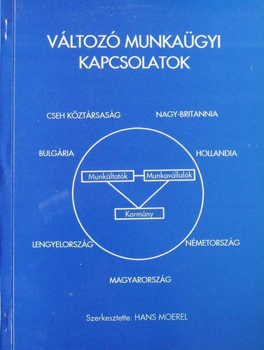 Hans Moerel (Szerk.) - Vltoz munkagyi kapcsolatok