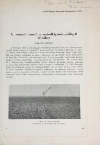 Blint Csand - X. szzadi temet a szabadkgysi-plligeti tblban