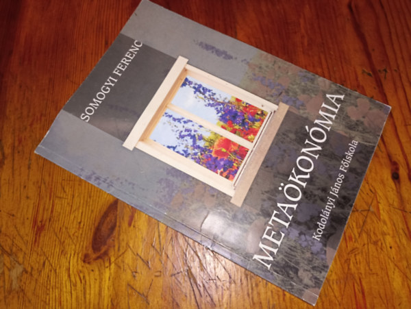 Somogyi Ferenc - Metaökonómia