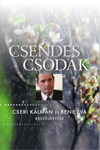 Csendes csodák