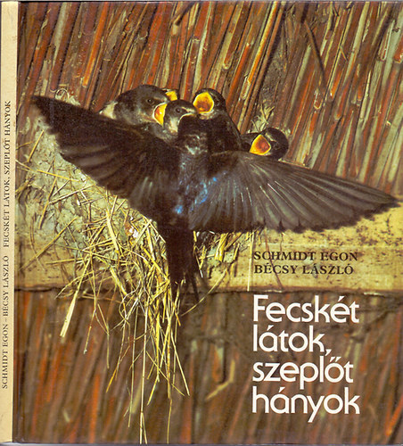 Schmidt Egon- Bécsy László - Fecskét látok, szeplőt hányok