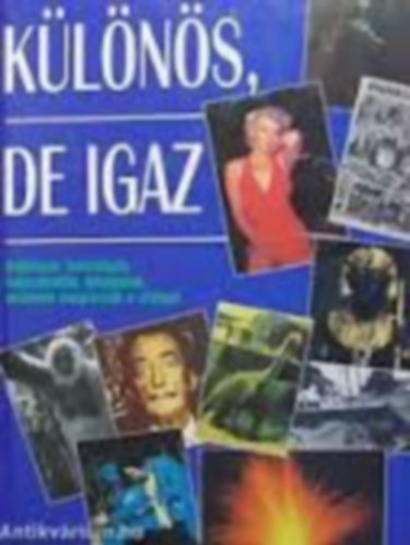Blundell, Nigel - Klns, de igaz