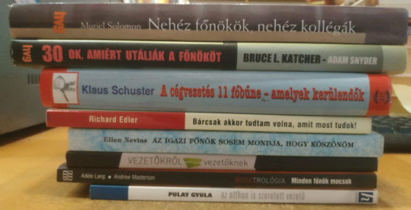 Pulay Gyula, Adéle Lang, Andrew Masterson, Benke Anna, Ellen Nevins, Richard Edler, Klaus Schuster - 8 db Big Boss: Az otthon is szeretett vezető; Minden főnök mocsok; Vezetőkről nem csak vezetőknek; Az igazi főnök sosem mondja, hogy köszönöm; Bárcsak akkor tudtam volna, amit most tudok!; A cégvezetés 11 főbűne - amelyek kerülendők