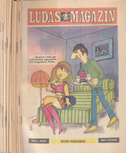 Tabi László (főszerk.) - Ludas magazin 1974/1-12. (teljes évfolyam, lapszámonként) + 2 db. különszám (Nyári örömök + Vidám nyaralás)