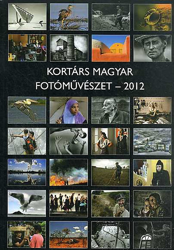 Gyri Lajos (szerk) - Kortrs magyar fotmvszet 2012