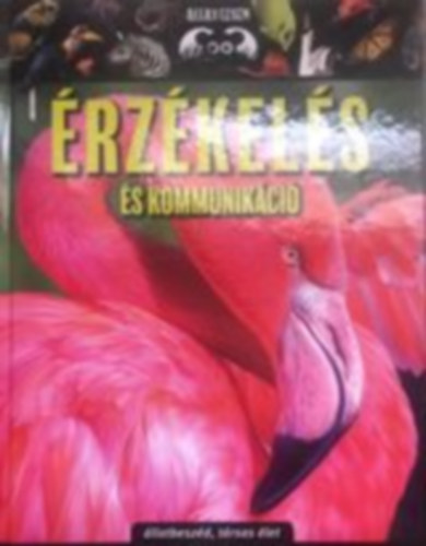 Bagoly Ilona - rzkels s kommunikci - llatlesen
