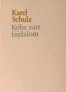 Karel Schulz - Kbe zrt  fjdalom /Michelangelo lete 35 kppel/