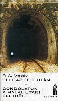 Thorwald Dethlefsen - Élet az élet után