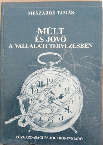 Mészáros Tamás - Múlt és jövő a vállalati tervezésben