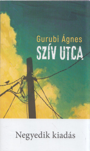 Gurubi Ágnes - Szív utca