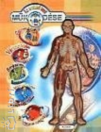 Steve Parker - Az emberi test m�k�d�se