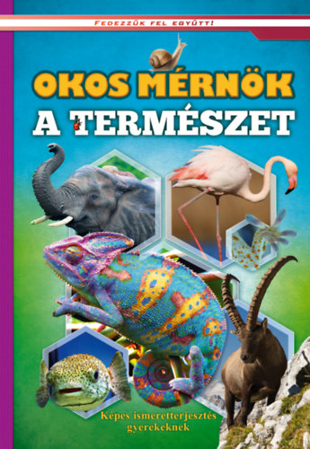 Okos mrnk a termszet