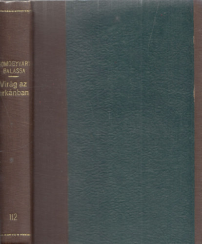 Somogyvry Lajos-Balassa Imre - Virg az orknban