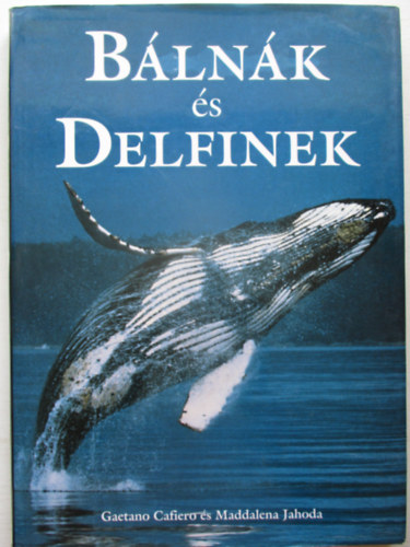 Harris, Caroline - Blnk s delfinek