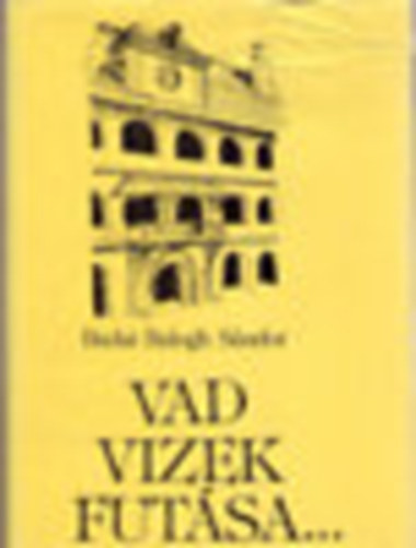 Budai Balogh Sándor - Vad vizek futása... (Mozaikok Szabó Dezső Kolozsvári életéből)