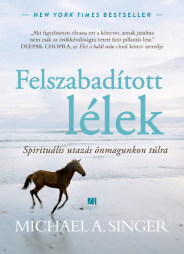 Michael A. Singer - Felszabadított lélek