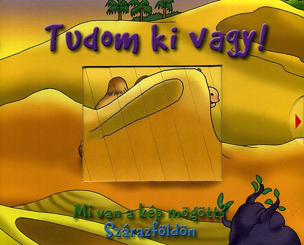 Szab Zsolt - Tudom ki vagy! - Mi van a kp mgtt? - Szrazfldn