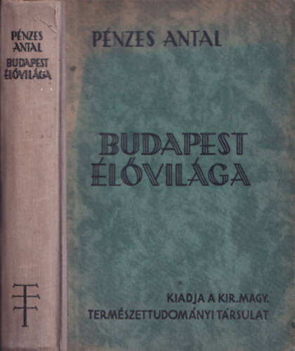 Pnzes Antal - Budapest lvilga