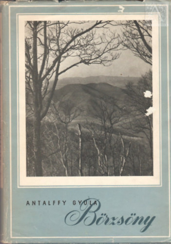Antalffy Gyula - B�rzs�ny (Magyar t�jak)