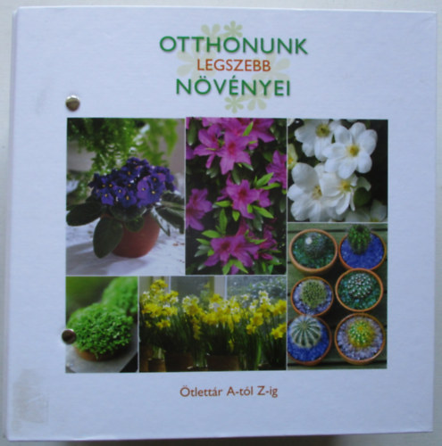 Otthonunk legszebb n�v�nyei