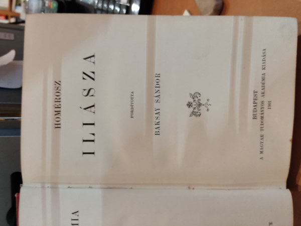 Homrosz - Homrosz Ilisza (Baksay Sndor fordtsa)
