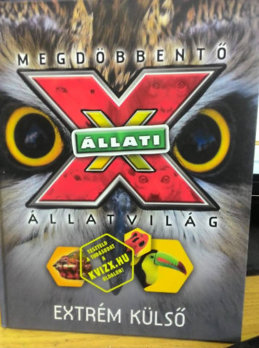 llati X -  extrm kls