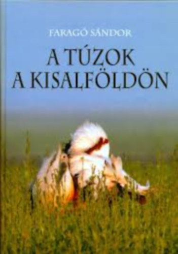 Faragó Sándor - A túzok a Kisalföldön