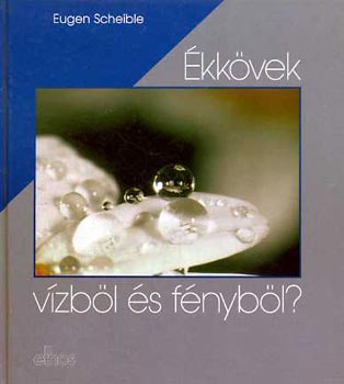 E. Scheible - kkvek vzbl s fnybl?