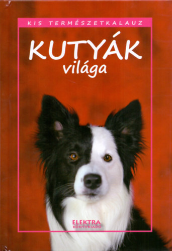 Bernth Istvn - Kutyk vilga