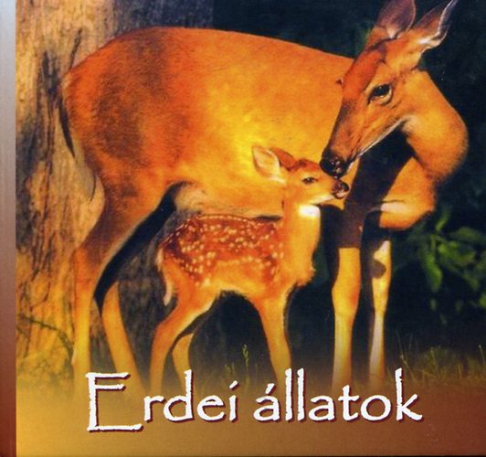 Fekete Annamria - Erdei llatok