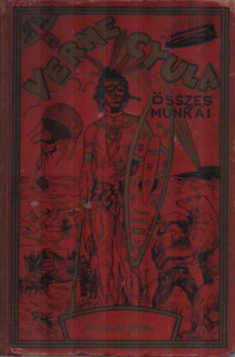 Verne Gyula - A dunai hajós