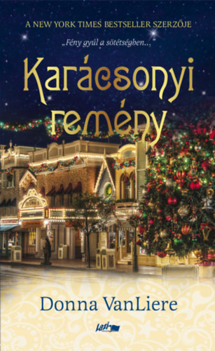 Donna Vanliere - Karácsonyi remény
