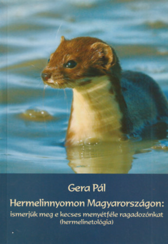 Gera Pl - Hermelinnyomon Magyarorszgon: ismerjk meg e kecses menytfle ragadoznkat
